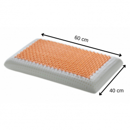 a picture of SHAPE MEMORY PILLOW DUAL NATURA