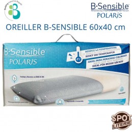 Oreiller Polaris rafraîchisant 60*40 cm B-Sensible
