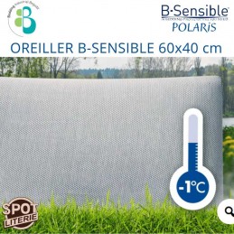 Oreiller Polaris rafraîchisant 60*40 cm B-Sensible
