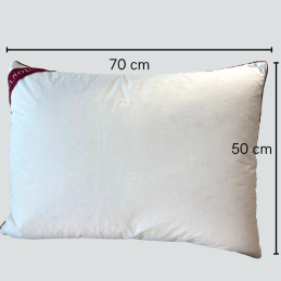 dimensions oreiller plumettes belnou