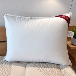 oreiller Belnou plumettes