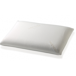 a picture of SHAPE MEMORY PILLOW DUAL NATURA
